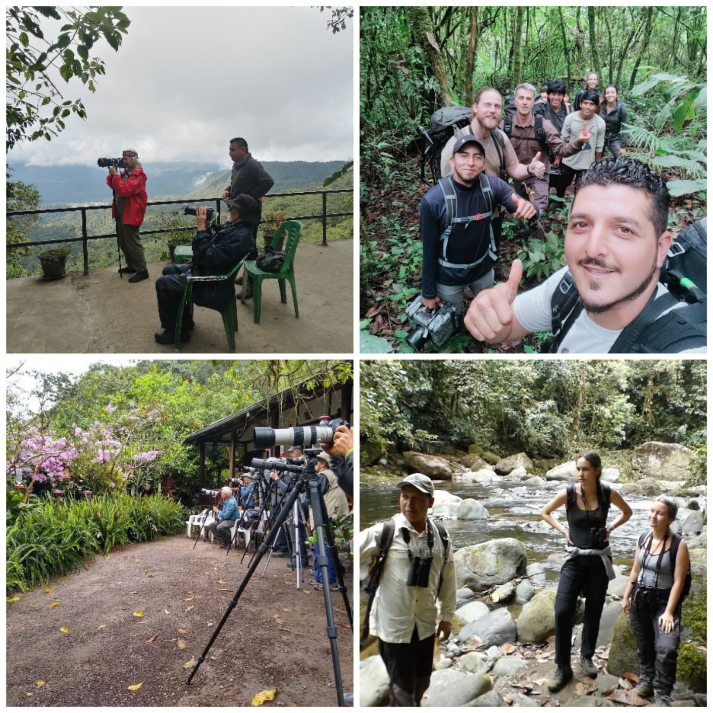 Guías especializados en observación de aves