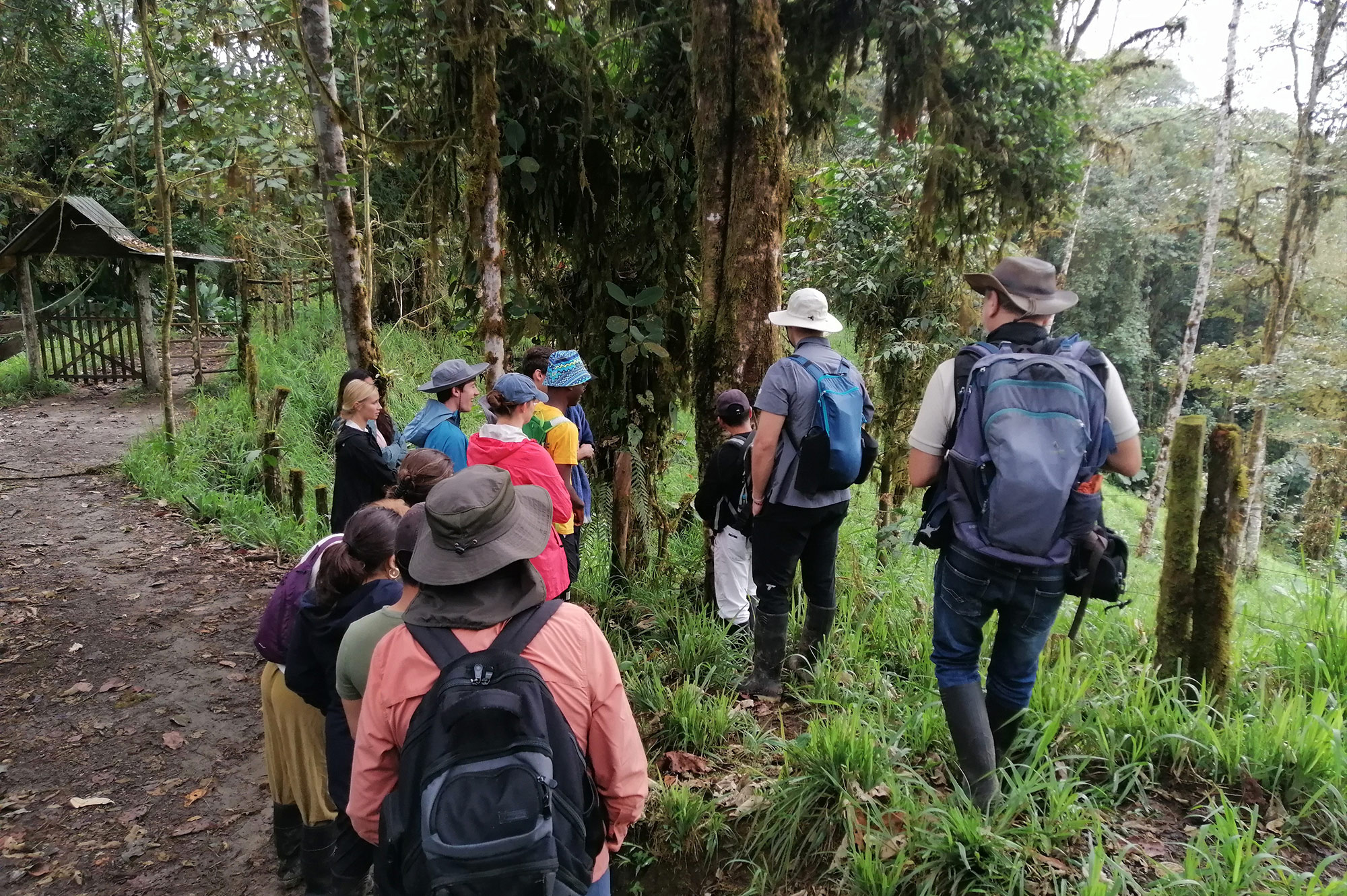 Tours privados  de observación de aves